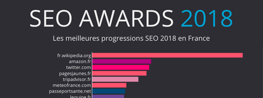 SEO Awards 2018, les meilleures progressions SEO de l’année !